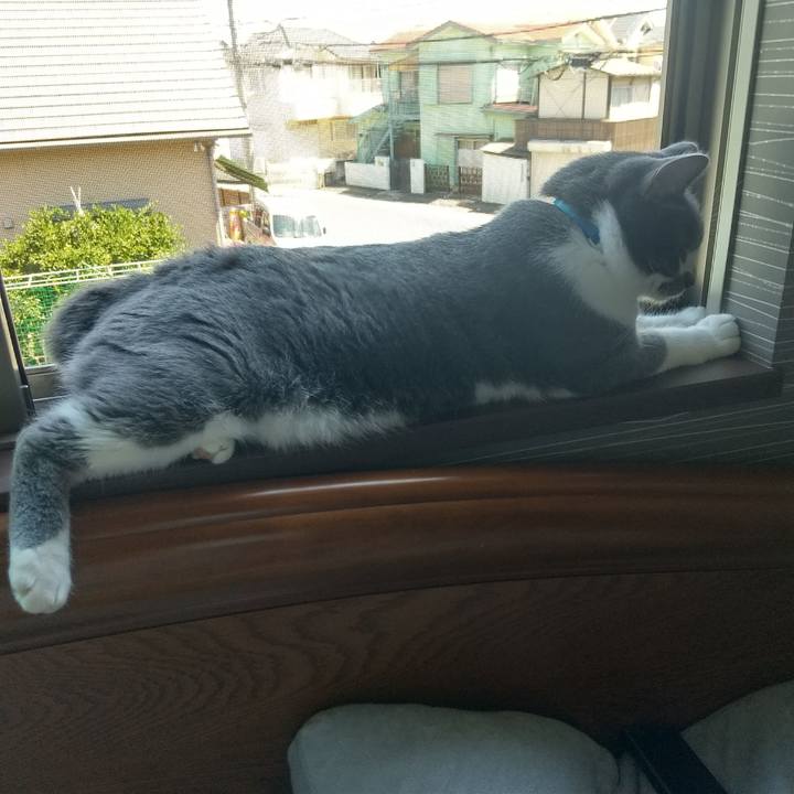 39b406af 45f8 4699 a254 aac6859fd983 1626571482537