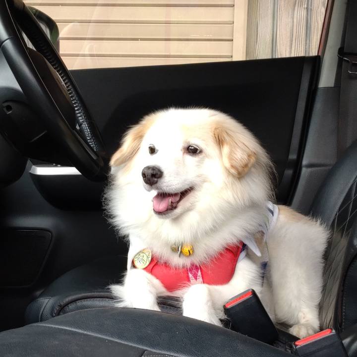 39b429c4 957c 4ac4 9ce6 abf681d2f1c2 1665631436586