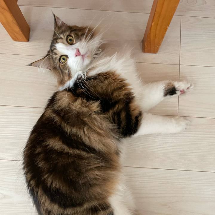 39b4379a 241c 4f90 b721 7bcec937bf17 1655115856655