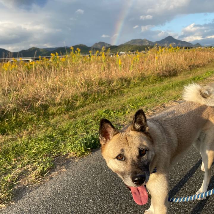 39b43c1c 9eb4 4047 a56e 3b898f23d31b 1667645592523