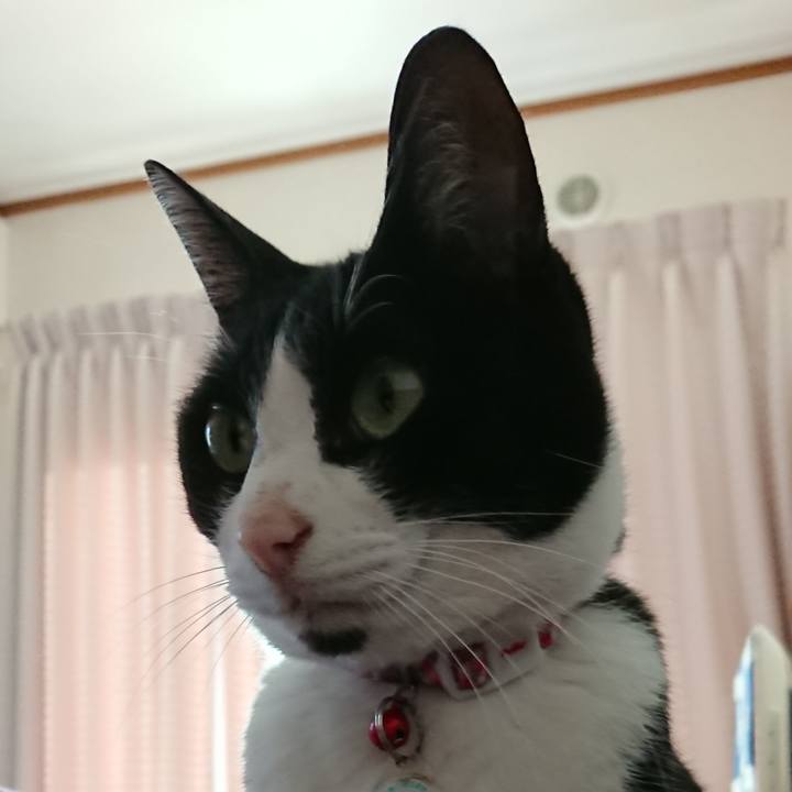 39b43fba 25a6 4ad8 8a38 ae6d5e36ba6b 1642829540471