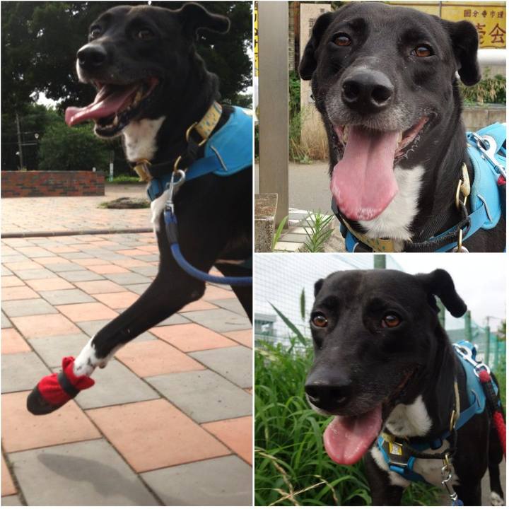 39b46995 190f 4338 b6a0 e00235da2473 1624754099646