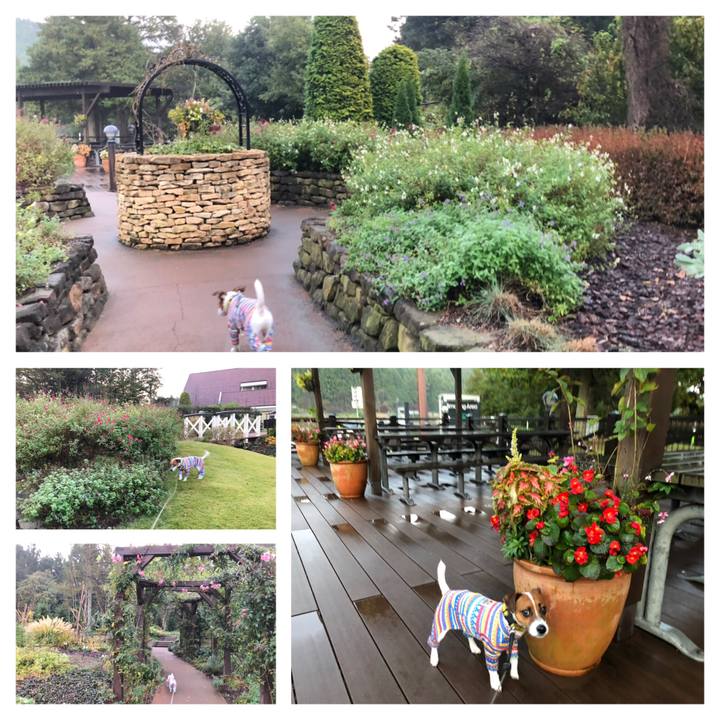 39b4734c d8f3 4a6e b269 14421f87d516 1573481318355