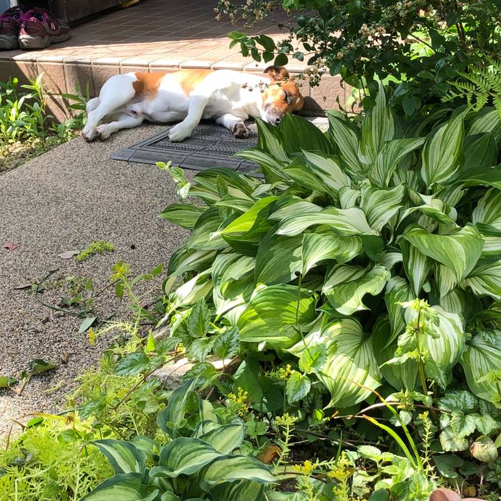 39b47a92 0cca 4f76 8e2b 9fc0aba5c8ea 1525129785249