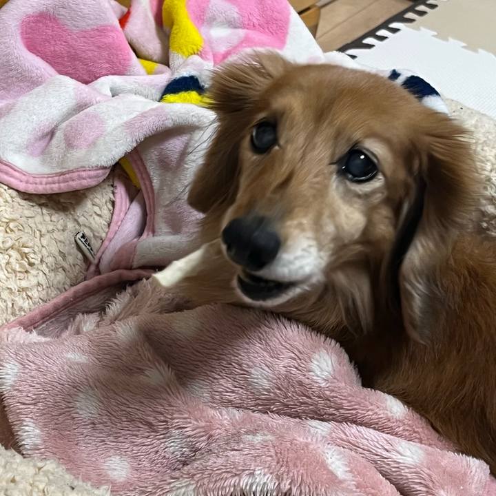 39b488a2 629f 4680 972f 5226e8ca165f 1675595728543