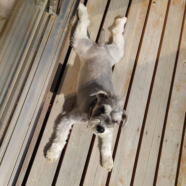 39b48bd9 16d4 454a 8933 1fe0260edaf3 1772783556607