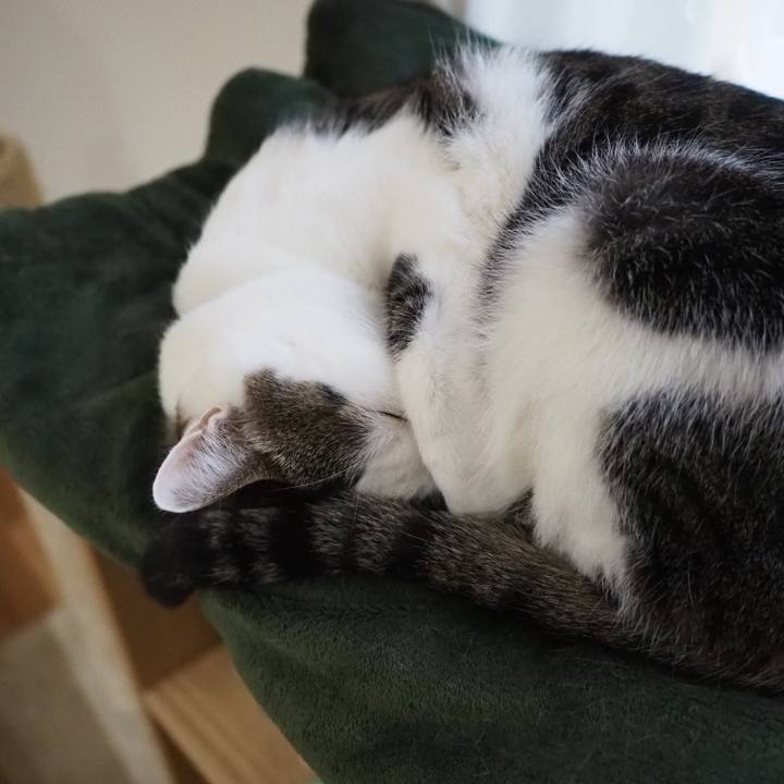 39b4be19 bb2a 48a5 996f 717281479f77 1545005134053