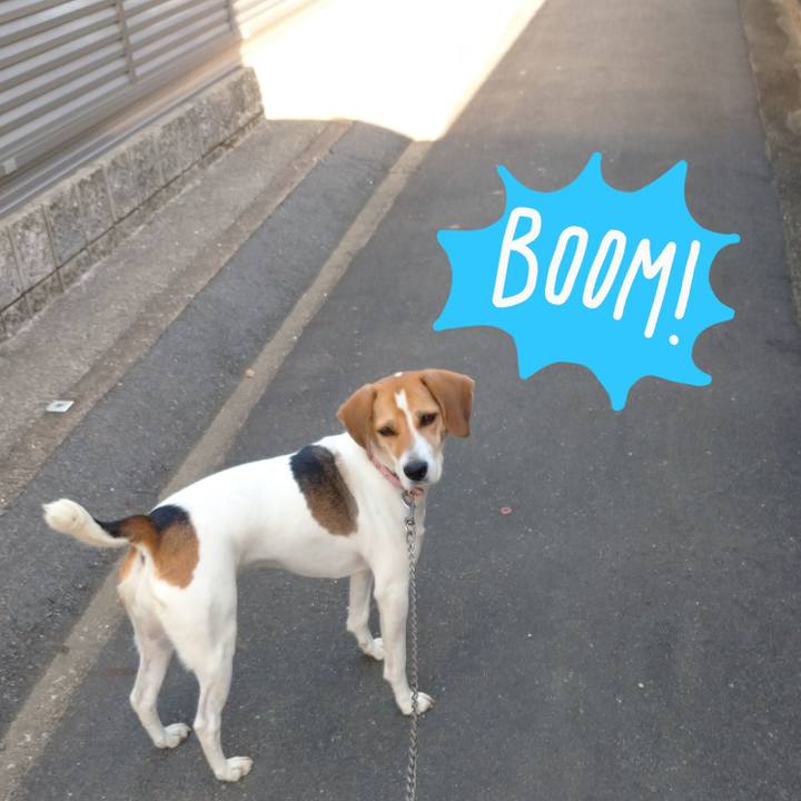 39b4e7d3 4774 42fe b14c a138a446e3d1 1602742739521