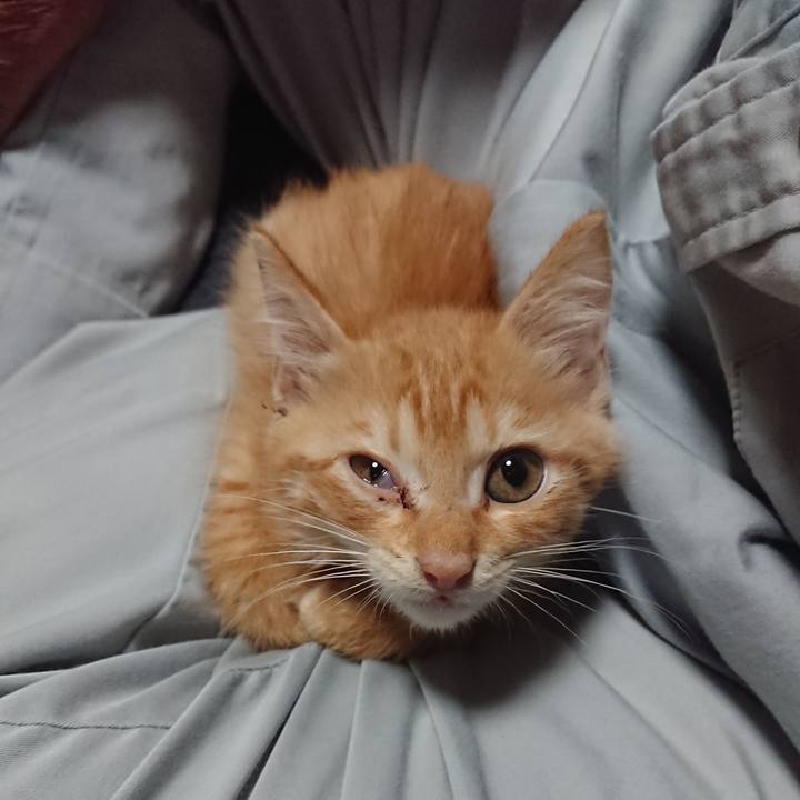 39b4ecb1 880c 4050 8080 b248e1772124 1628720858976