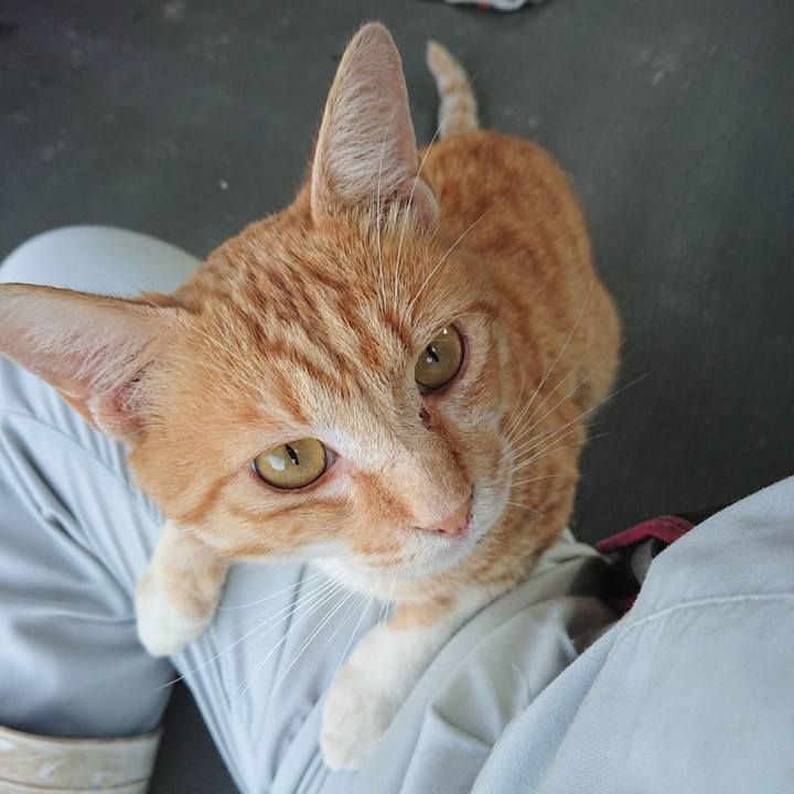 39b4fa80 3f9e 4add a4b3 80c581081850 1562576725816