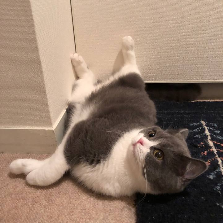 39b50365 6f11 40a3 b030 4a2d59fb4373 1525305082983