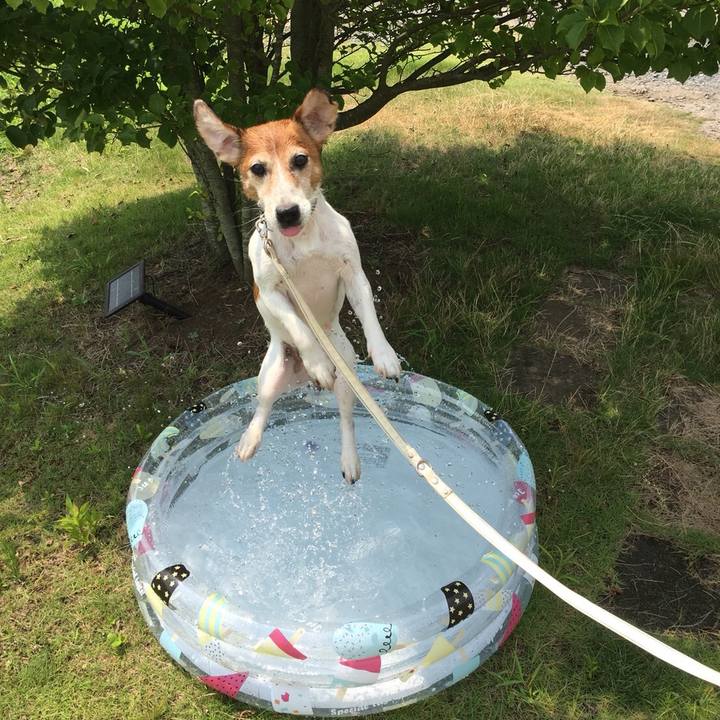 39b511f5 58dd 4cbd bf60 ea019022f361 1533472869459