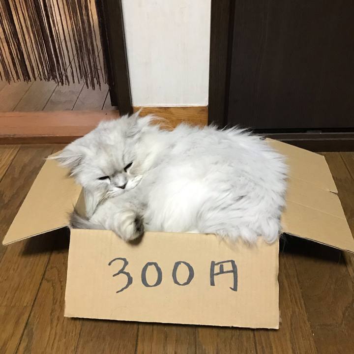 39b53222 2429 4494 8825 ecebdadd59c1 1562330768186