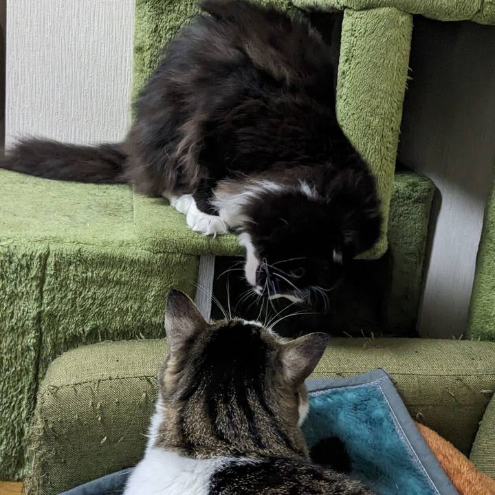 39b53a47 0c99 4c47 9e3f 0af60adf5d09 1708310821625