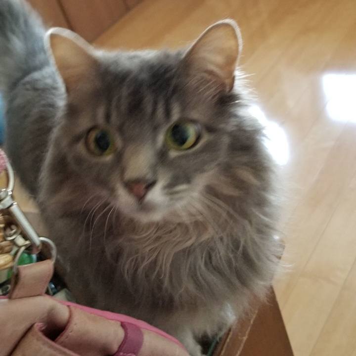 39b54405 15c3 4d2a b54f 7a7b96172882 1558990009273