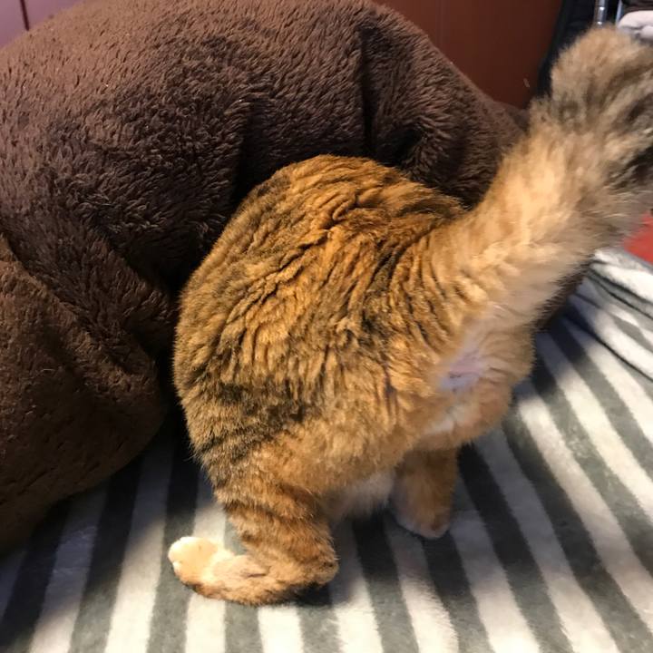 39b564fa 28e8 4fa0 bb4f 228c012b607c 1509492574515