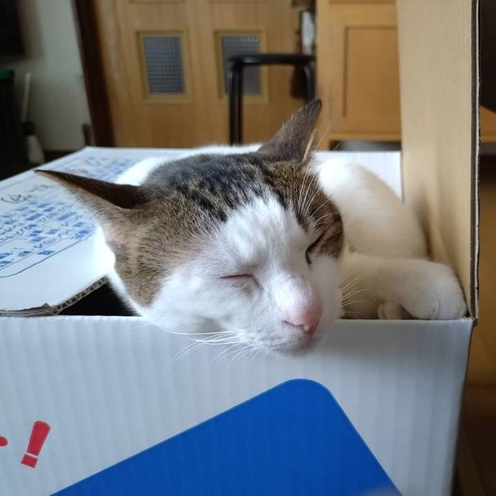 39b5828f d63d 416d bb80 f11af089c8d9 1760952593962