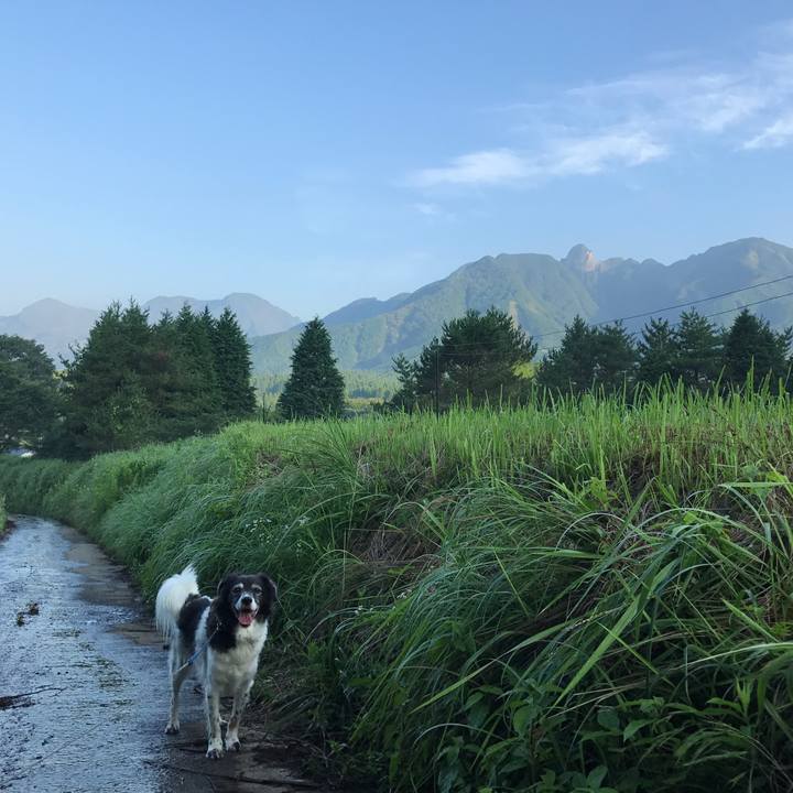 39b58a3e 4bb0 4090 b46b 9f5bccc5df57 1533306150387