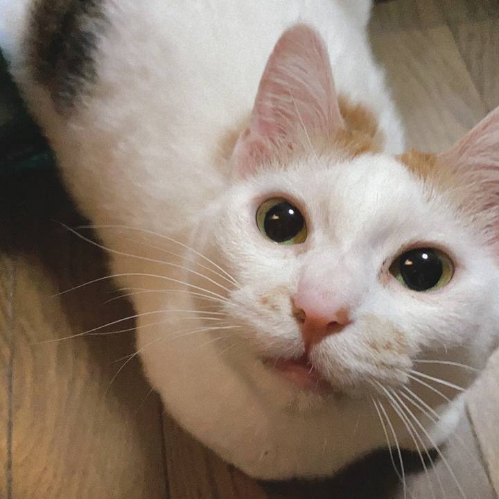 39b59390 622d 4a19 a68c b4d7aa305451 1589282380113