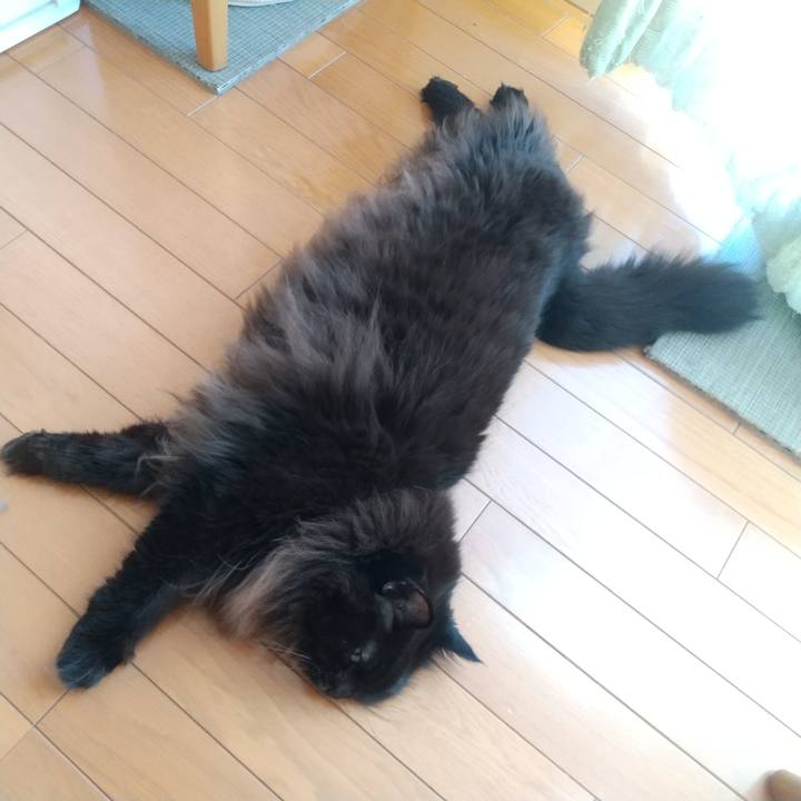 39b5b3eb 7d53 4abe 99a2 3fc97ceeb6f9 1700266363012