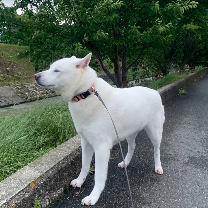 39b5d5a6 7227 4907 b876 466390ced904 1560593527498