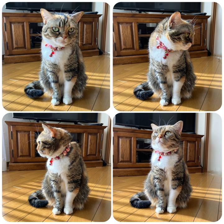 39b5da87 aaa4 4c7a 8f73 599e446a58de 1761626120235