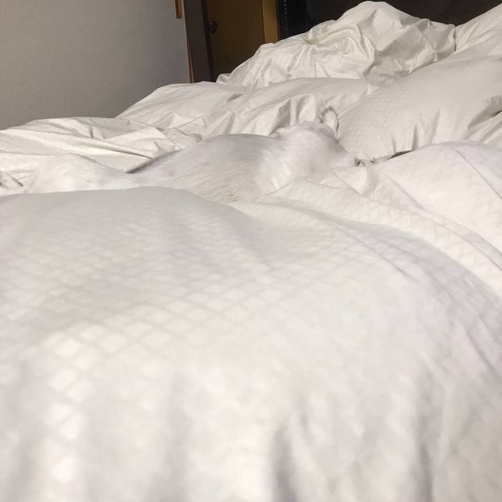 39b5fe17 f68b 4fae ae2c 05a8fe6ca5fe 1557153746975