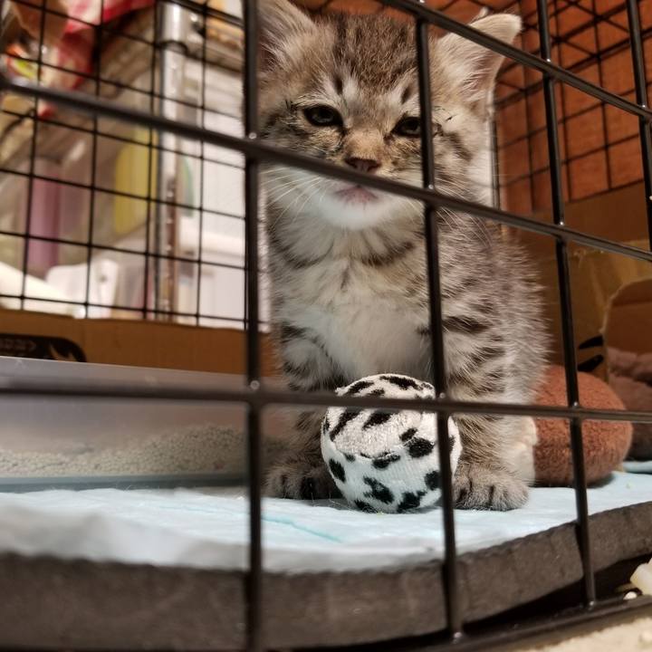 39b60225 bf0a 471c 9976 26388a833a05 1660832453988