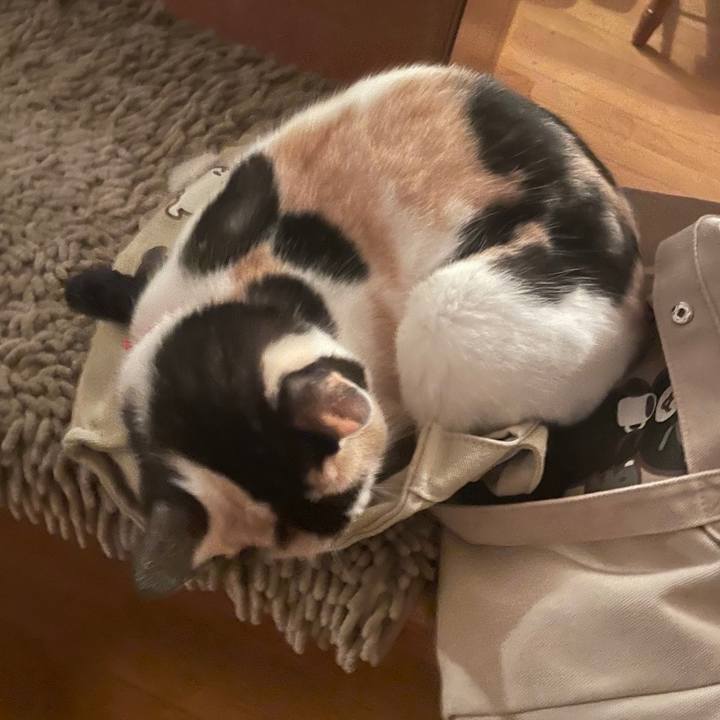 39b6134d c828 4189 a03e deca271e8827 1716982579088