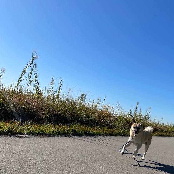 39b6515c e001 4dae a1c6 fb1d44fa8f8a 1638089910015