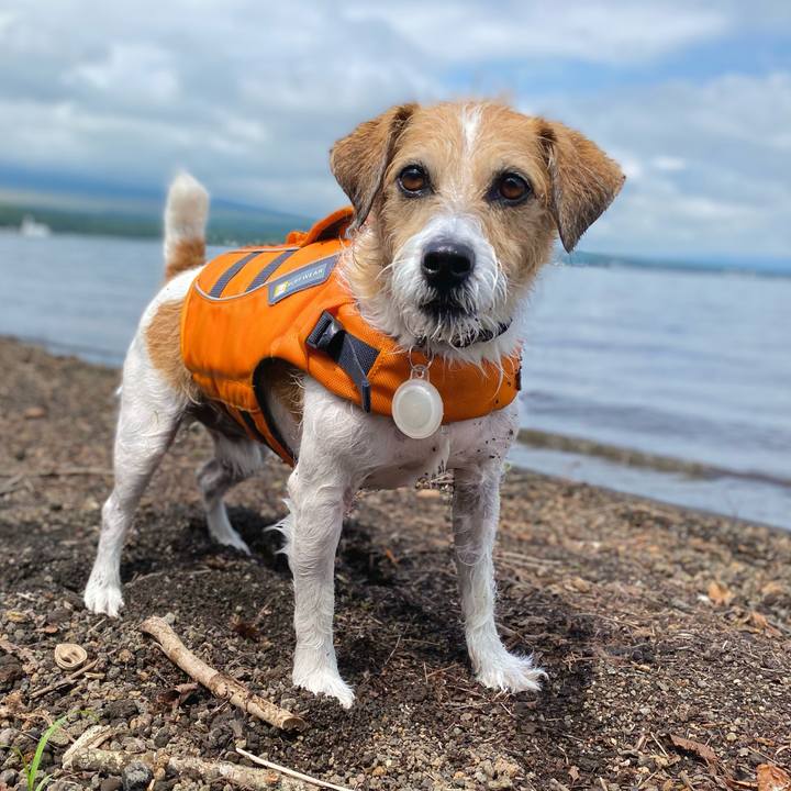 39b660b5 e52d 42b8 8629 e1a0b1ffe2c1 1661343282855