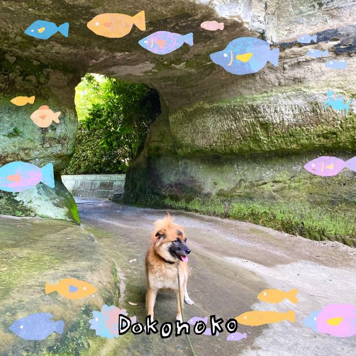 39b66274 e5d3 478d 9769 7e7738a57a6e 1755406673353