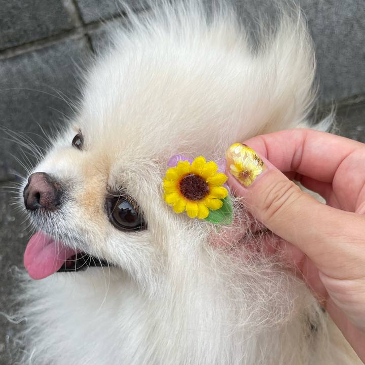 39b68790 3a85 4ae6 9753 993f75583085 1660260938540