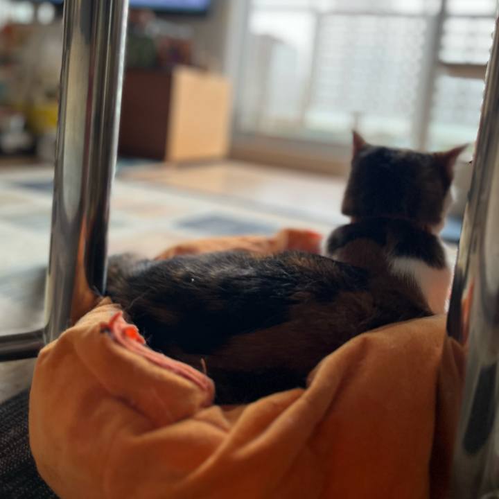 39b68d59 0598 4c9c 8224 1f09552edfda 1692057764286