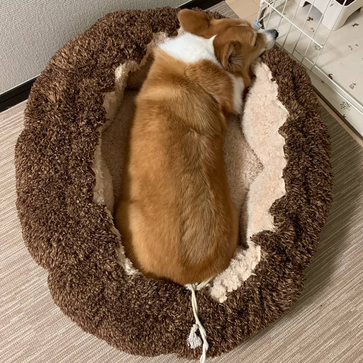 39b6d3fb 5b8f 42e5 a307 c9193c82f1bb 1587963747125