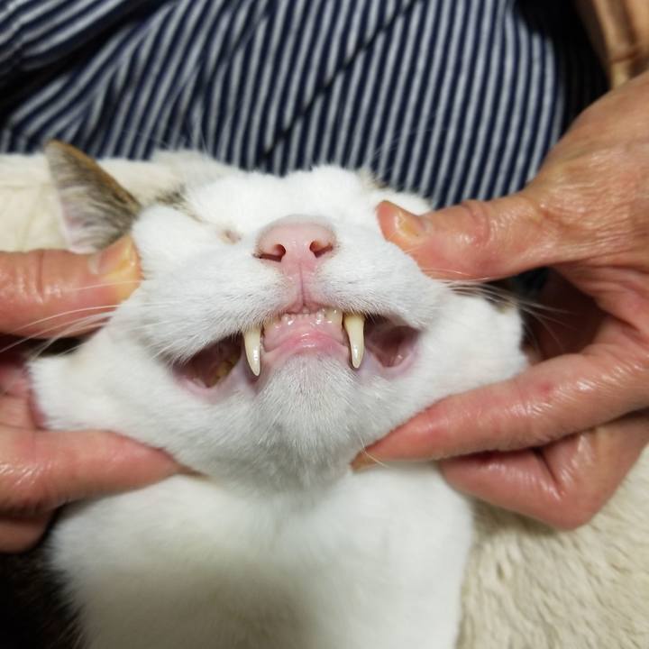 39b6d806 27a5 4ecb bb6e dfadd1978cba 1578568647040