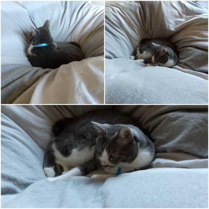 39b6d932 052c 4e5a 8cc2 dda76e159601 1636160045646