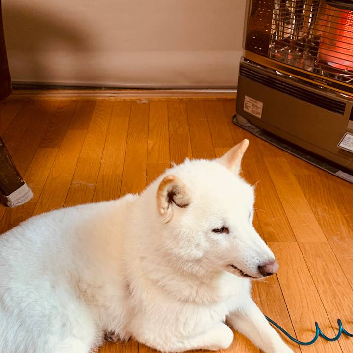 39b6f246 3d30 4206 858b 9e60a00365d6 1590533083813