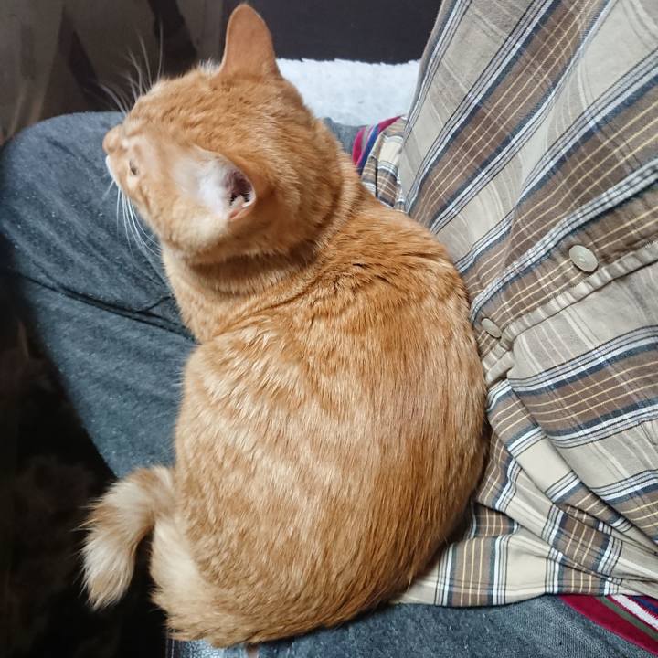 39b7035d 1368 4bfa b80a af8e868ddfb3 1636923247887