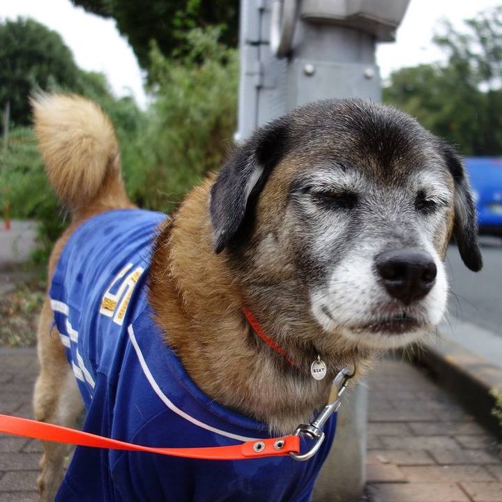 39b70a5f 4681 4a8e a039 78fa37311e8b 1507859464322