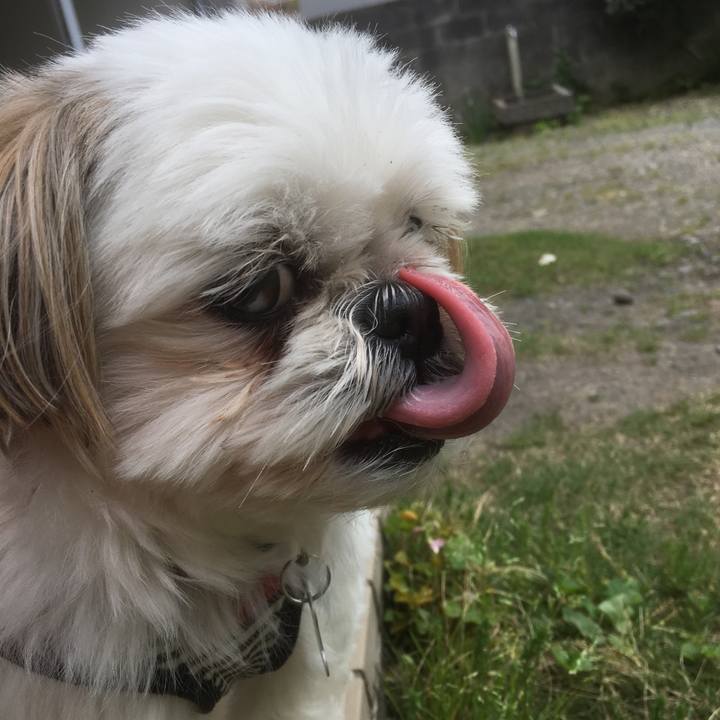 39b71342 b8b3 4de3 9a56 709e0f9d4c12 1525239266071