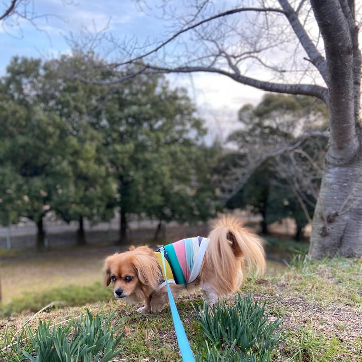 39b75225 1b1f 4e29 b052 1e74e1ea6ffc 1576363869311