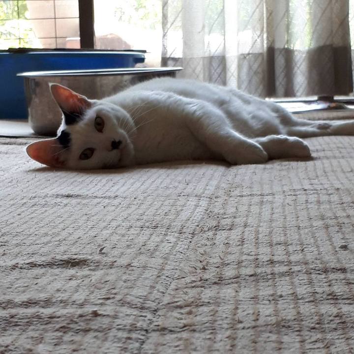 39b757f3 578b 4765 b1f6 a0f8cc7ca07f 1588650699704