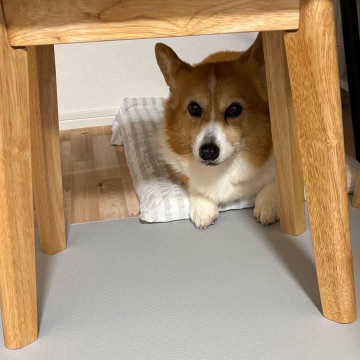 39b79931 57d1 45b2 a8d4 87f15f53bc03 1766639671108