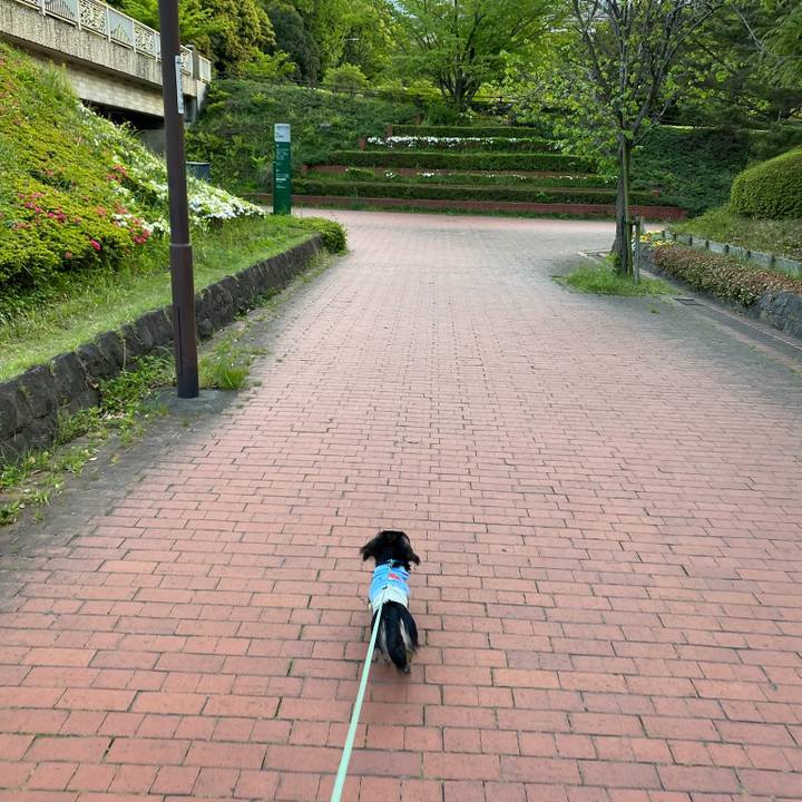 39b7af29 87a4 40ea a4ad a1ed407d13a9 1682251753904