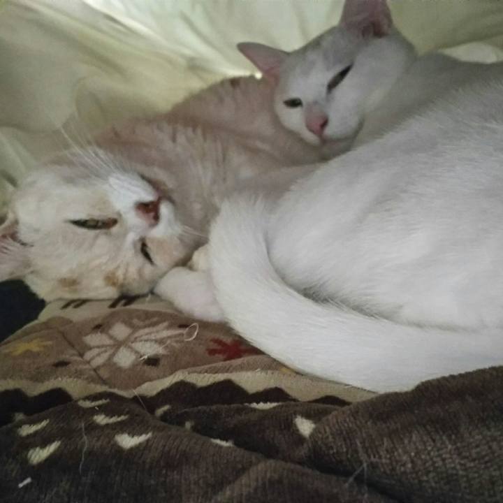 39b7c7a5 87fc 4af8 966b 7986f6648e9d 1512312916144