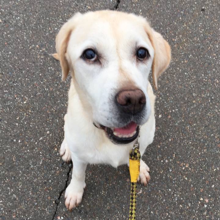 39b7e09a d918 4388 865b bc6210b1b55d 1537049933563