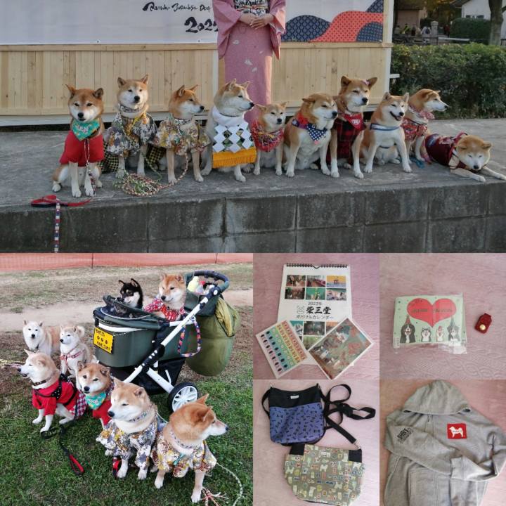 39b80e30 b183 441e 915c fa6da001c737 1667913748589