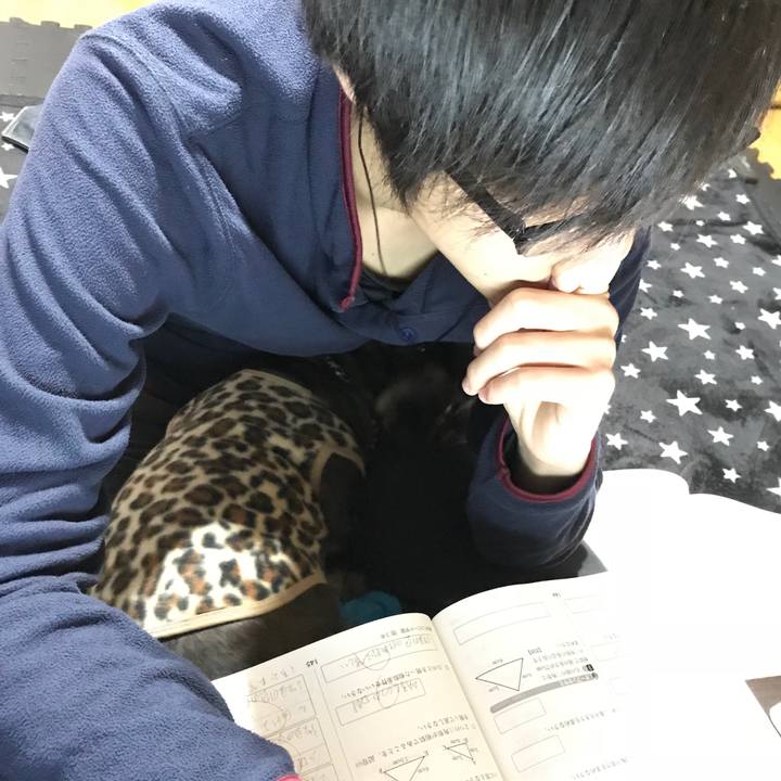 39b84333 a294 455c a49b 656a98375846 1511450522573