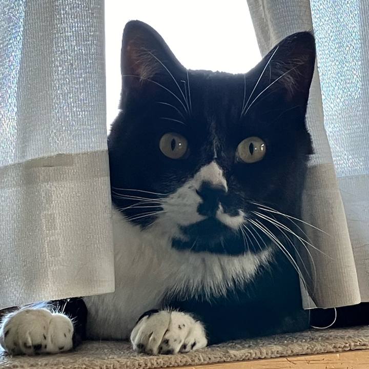 39b85004 e111 461c a796 e66764a8c561 1716781150076